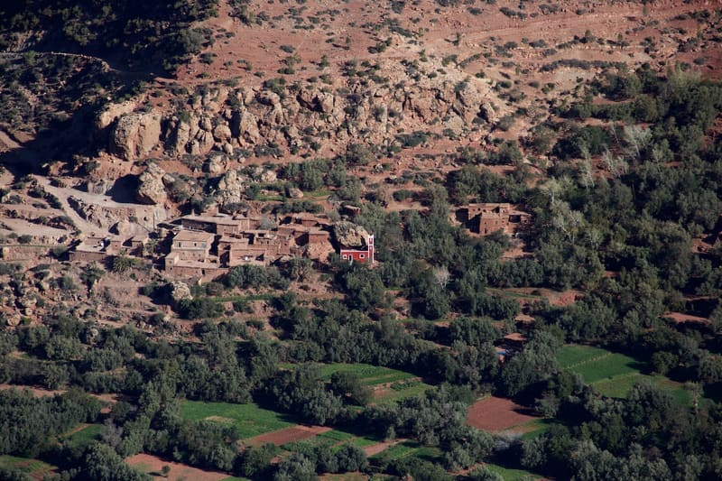 Gallery Photograph